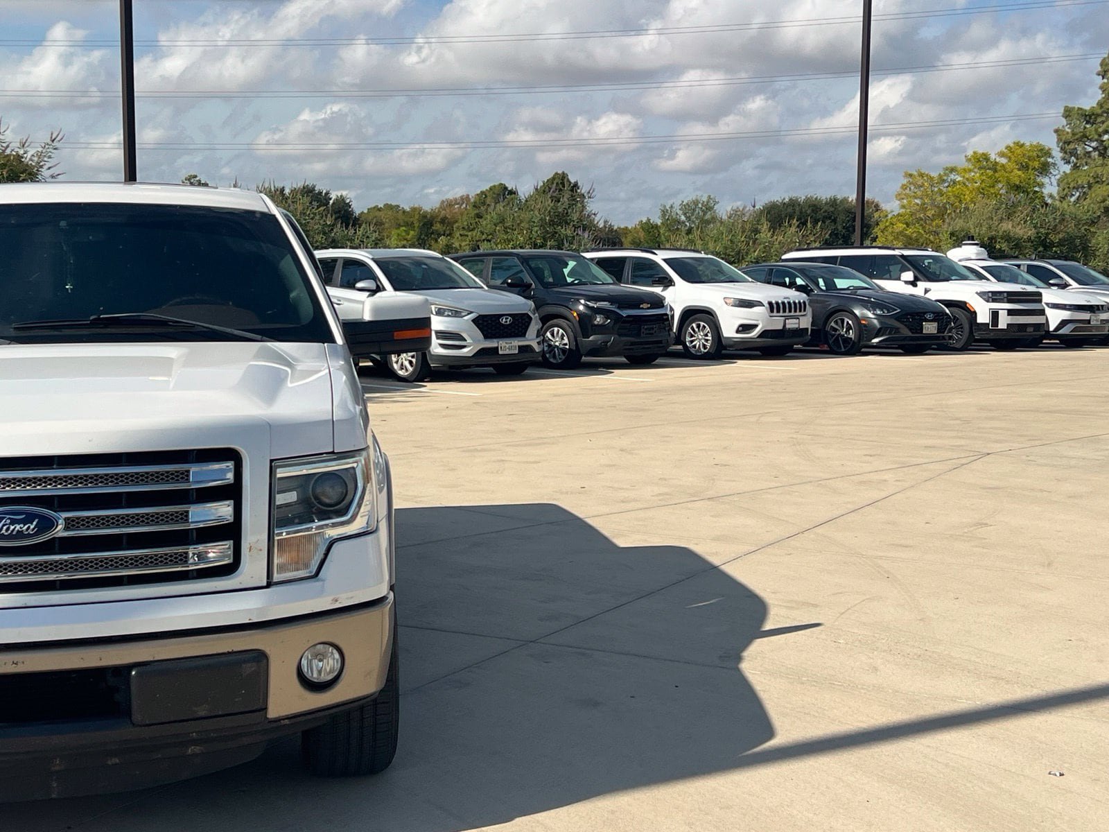 Used 2013 Ford F150 King Ranch w/ King Ranch Luxury Pkg RWD image 3