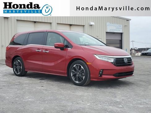 Certified 2024 Honda Odyssey Elite image 1