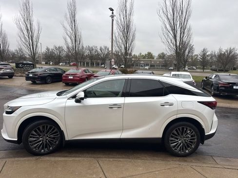 Certified 2025 Lexus RX 350 350h Luxury image 6