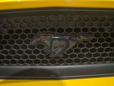 Used 2016 Ford Mustang GT Premium w/ Equipment Group 401A RWD image 37