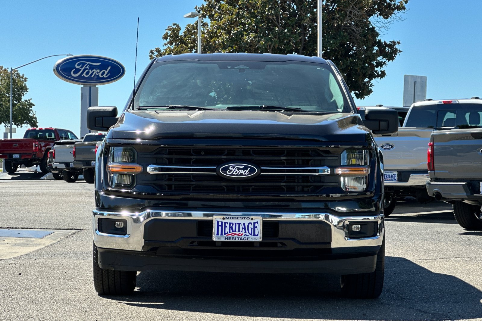 Used 2025 Ford F150 XLT w/ Equipment Group 301A Standard RWD image 9
