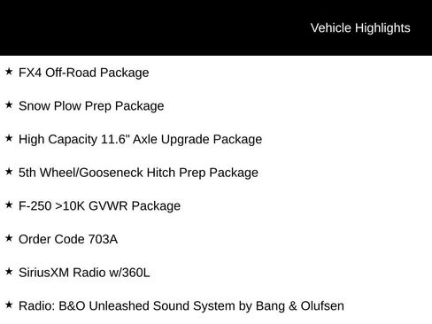 New 2025 Ford F250 Platinum image 4