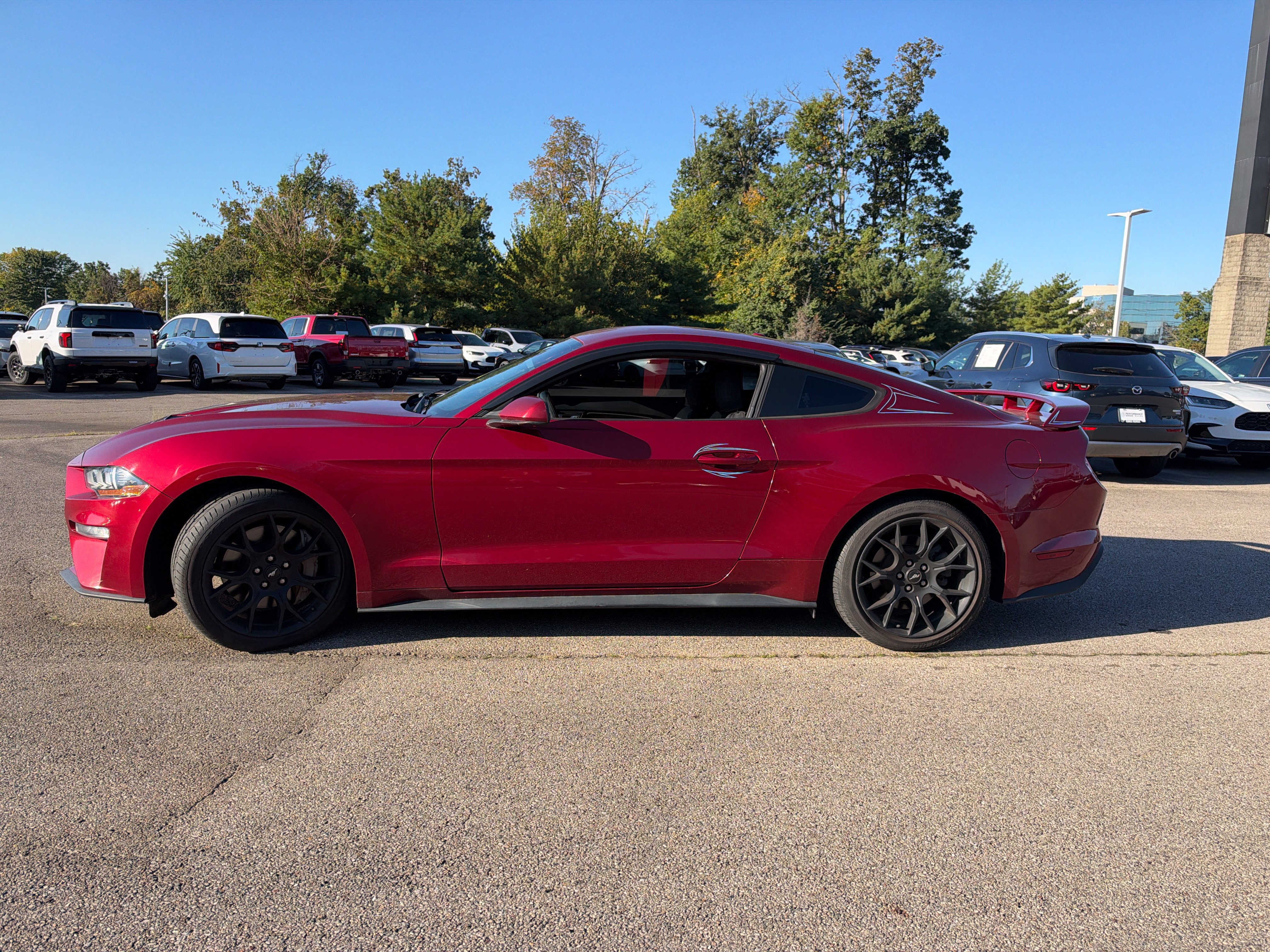 Used 2018 Ford Mustang Coupe w/ Ecoboost Performance Package RWD image 8