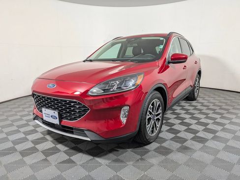 Used 2020 Ford Escape SEL FWD image 4