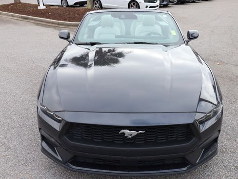Used 2024 Ford Mustang Premium image 14
