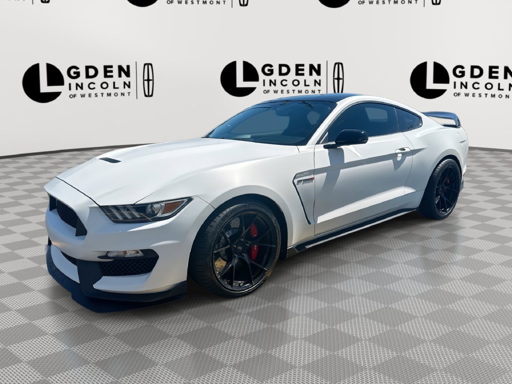 Used 2017 Ford Mustang Shelby GT350R w/ GT350R Equipment Group 920A RWD image 1