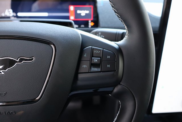 New 2025 Ford Mustang Mach-E GT w/ Interior Protection Package AWD/4WD image 29
