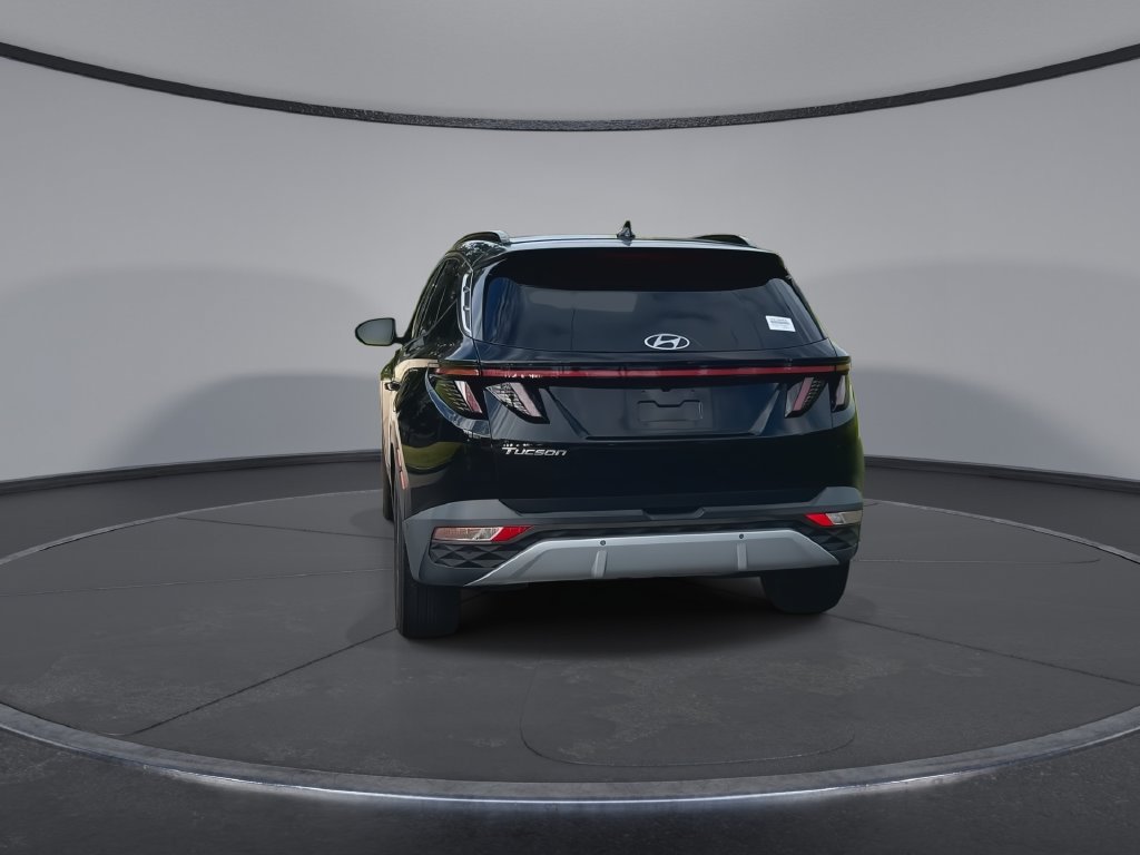 Used 2024 Hyundai Tucson Limited FWD image 7