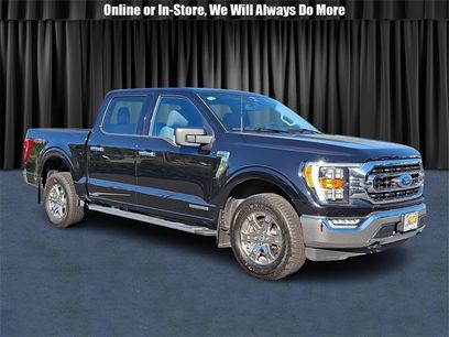 Used 2023 Ford F150 XLT w/ Equipment Group 302A High