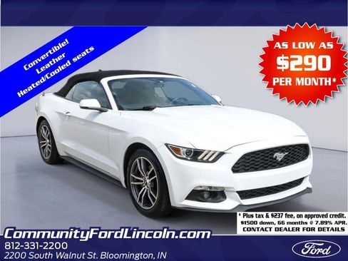 Used 2016 Ford Mustang Premium RWD image 1