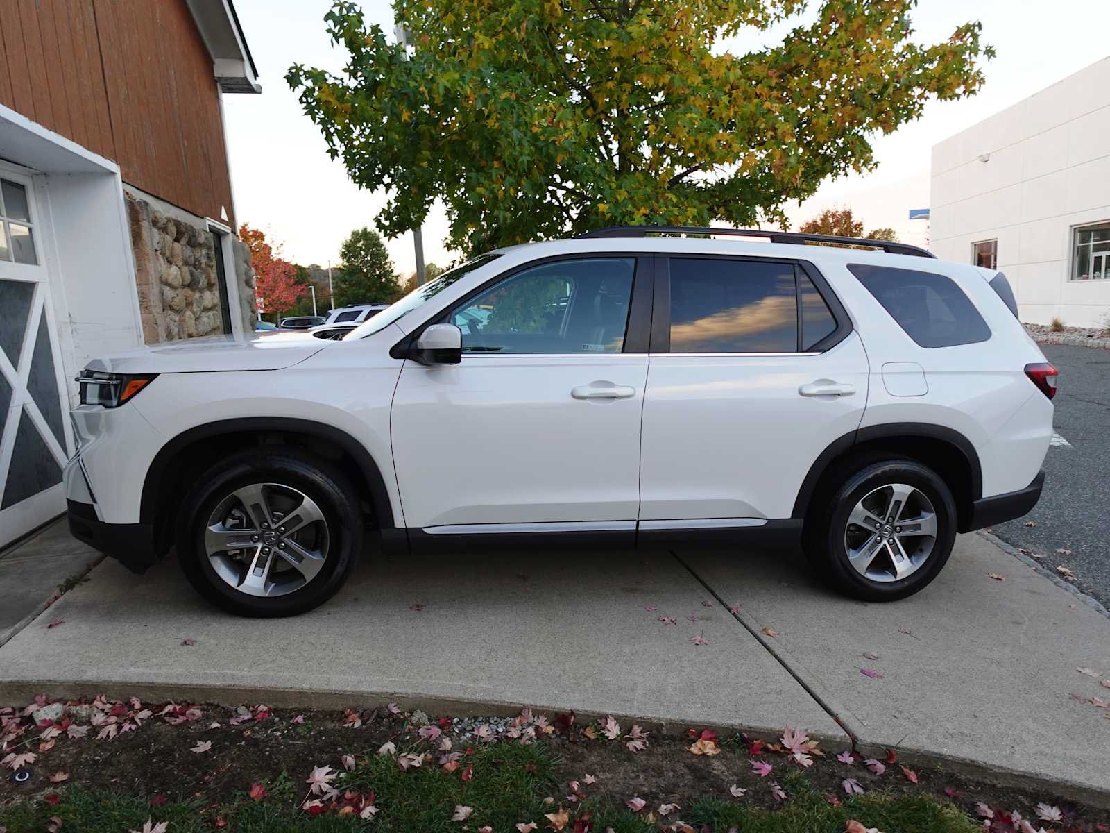 Used 2024 Honda Pilot EX-L image 4