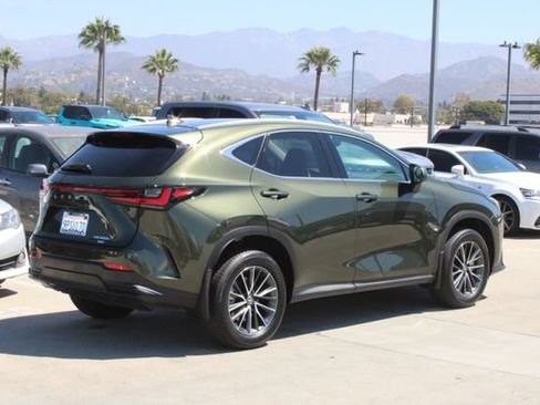 Certified 2025 Lexus NX 350h AWD w/ Cold Area Package image 21