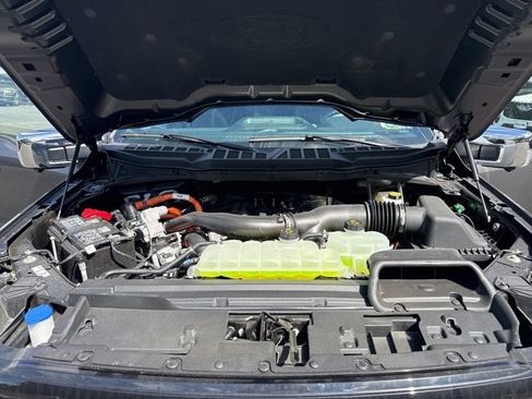 New 2025 Ford F150 XLT w/ Equipment Group 302A MID image 24