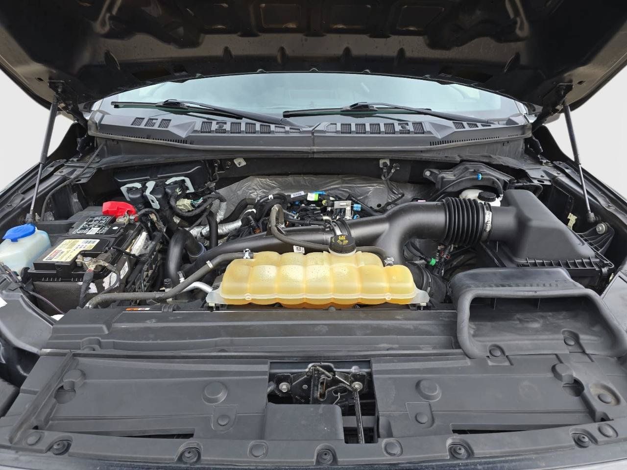 Used 2019 Ford F150 XL w/ Equipment Group 101A Mid AWD/4WD image 34