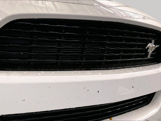 Used 2017 Ford Mustang GT Premium w/ Equipment Group 401A RWD image 29