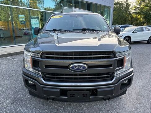 Used 2019 Ford F150 XLT w/ Equipment Group 302A Luxury AWD/4WD image 8