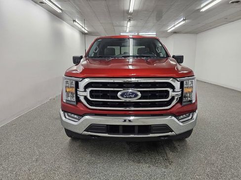 Used 2023 Ford F150 XLT w/ Equipment Group 302A High AWD/4WD image 2