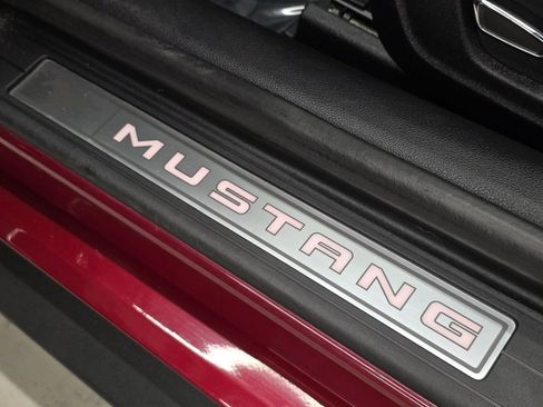 Used 2017 Ford Mustang GT Premium w/ Equipment Group 401A image 38