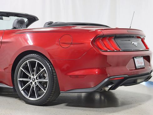 Used 2019 Ford Mustang Premium w/ Equipment Group 201A image 11