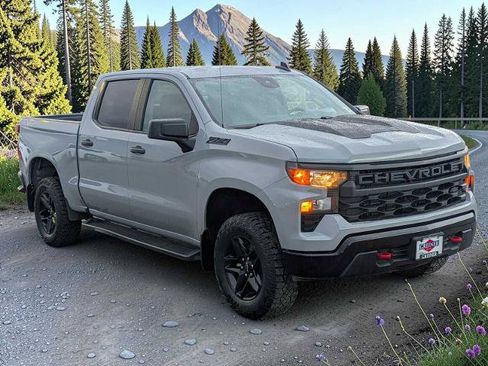 Used 2024 Chevrolet Silverado 1500 Custom Trail Boss w/ LPO, Dark Essentials Package AWD/4WD image 8