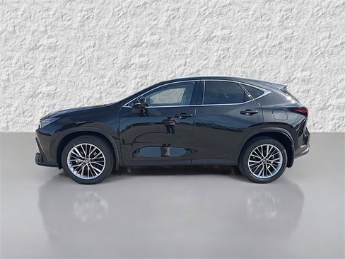 New 2026 Lexus NX 350 AWD w/ Luxury Package image 6