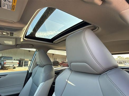 New 2025 Toyota RAV4 XLE Premium image 15