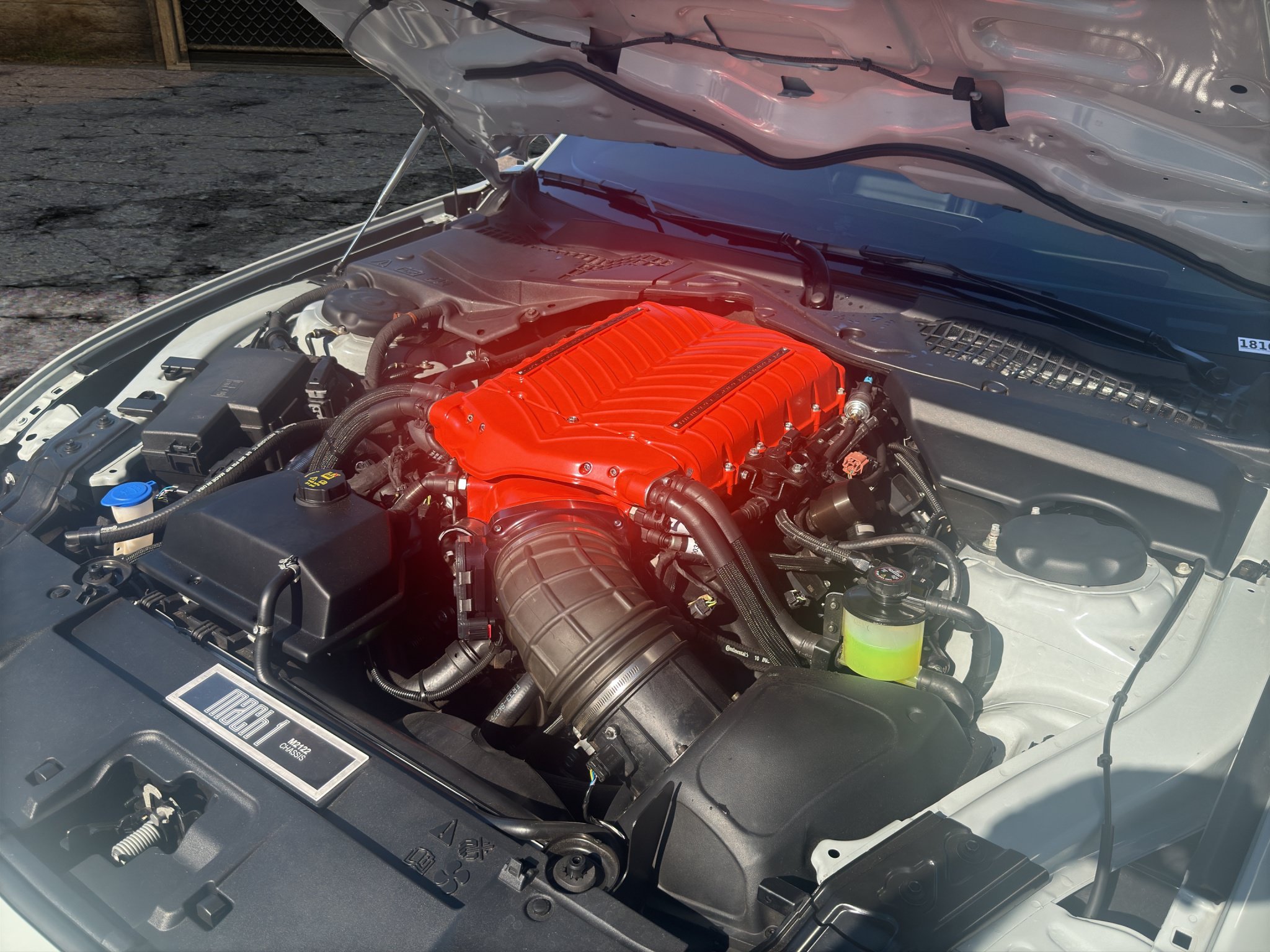 Used 2021 Ford Mustang Mach 1 w/ Mach 1 Handling Package RWD image 19