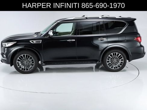 Used 2024 INFINITI QX80 Sensory w/ Cargo Package AWD/4WD image 42