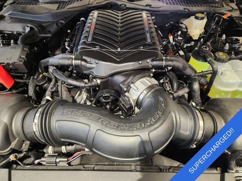 New 2025 Ford Mustang GT Premium w/ Mustang Nite Pony Package image 23