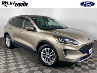 Used 2021 Ford Escape SE FWD video 1