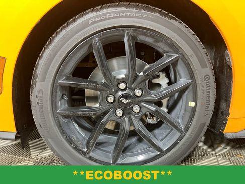 New 2026 Ford Mustang EcoBoost image 13