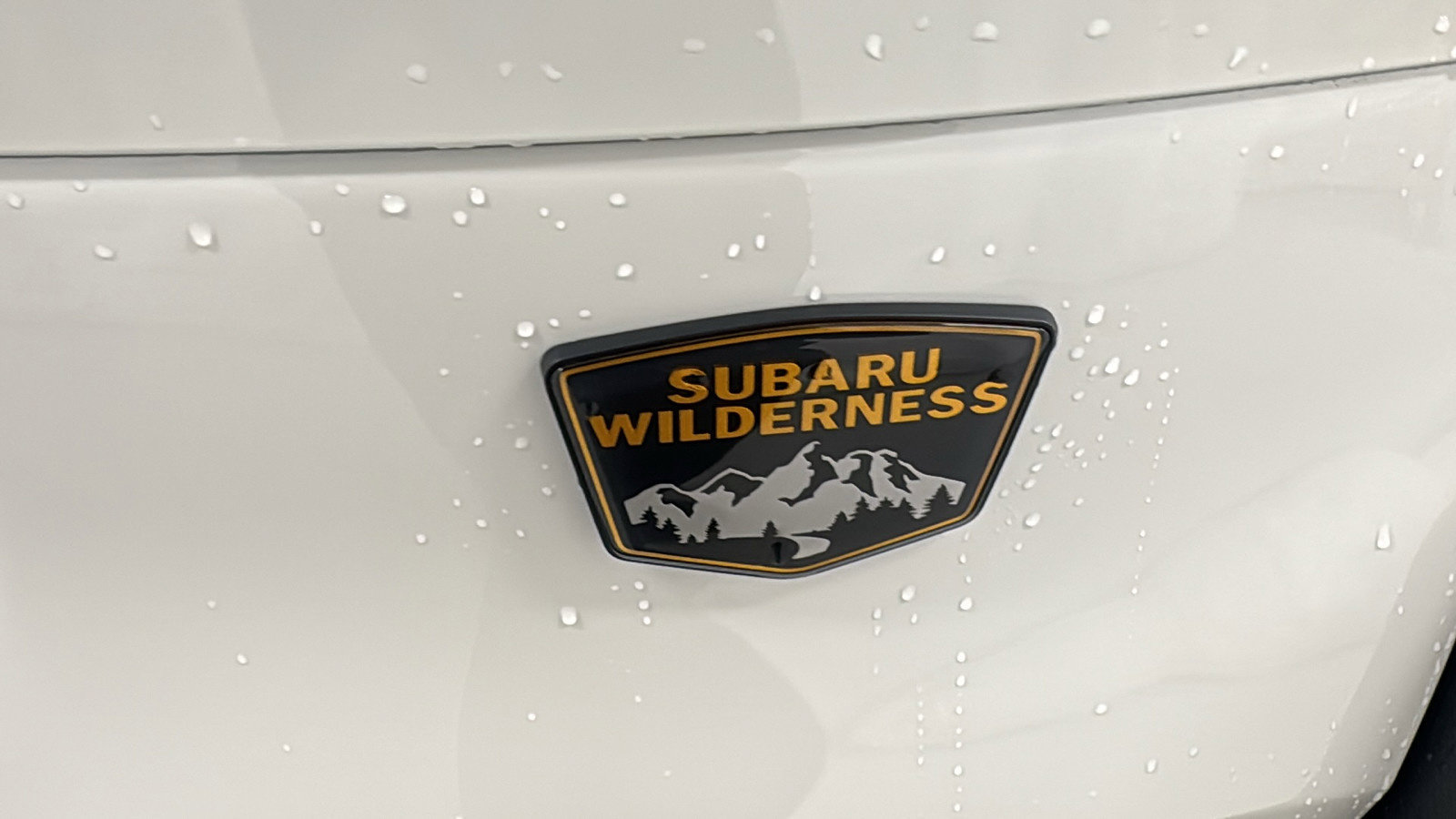 New 2026 Subaru Forester Wilderness w/ Wilderness Plus Package AWD/4WD image 38