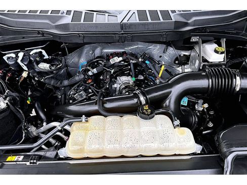 Used 2025 Ford F150 XLT w/ Equipment Group 301A Standard AWD/4WD image 13