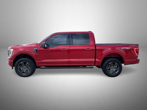 Used 2022 Ford F150 XLT w/ Equipment Group 302A High AWD/4WD image 8