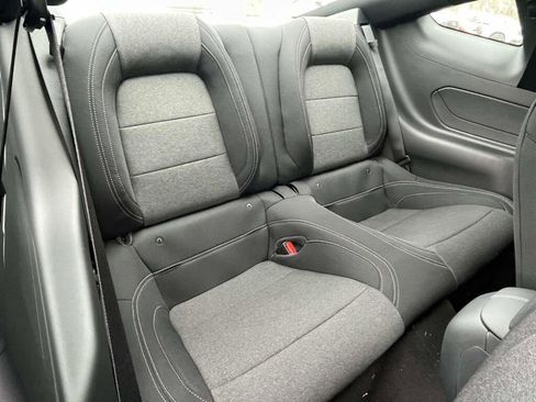 New 2026 Ford Mustang Coupe w/ Bronze Appearance Package image 19