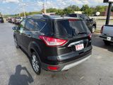 Used 2015 Ford Escape SE w/ SE Chrome Package image 2