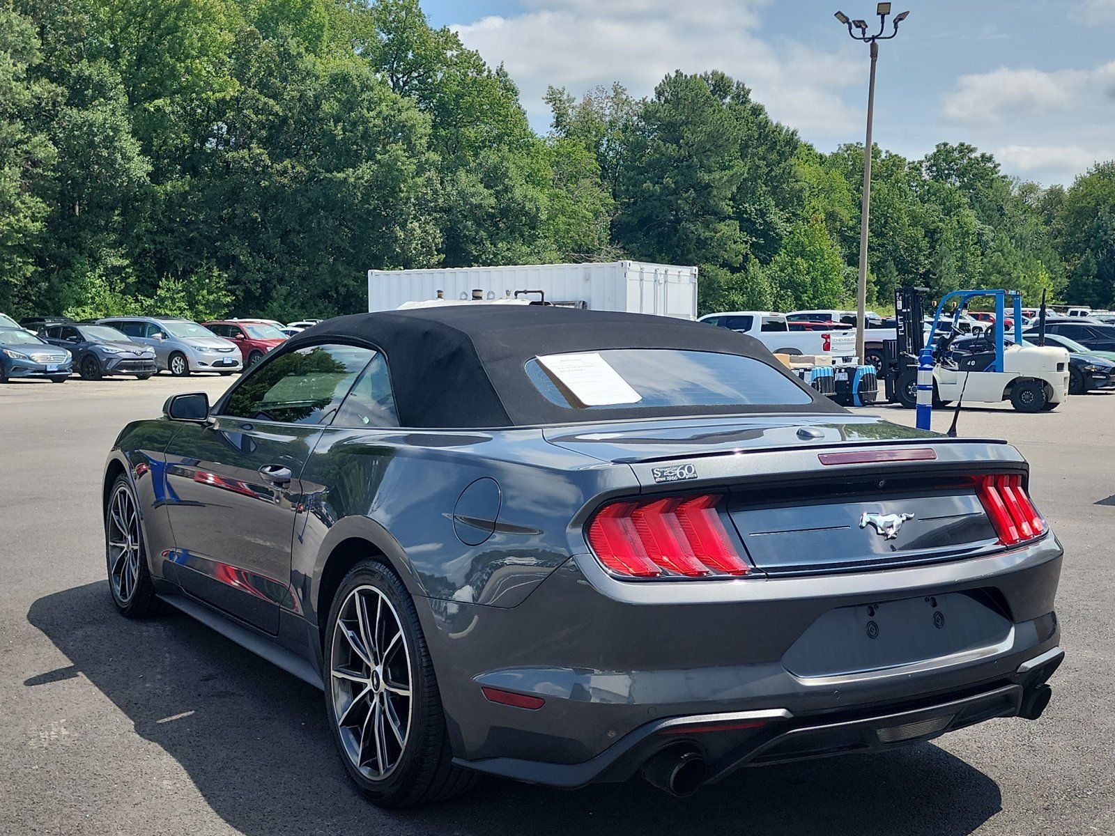 Used 2019 Ford Mustang Premium w/ Equipment Group 201A RWD image 3