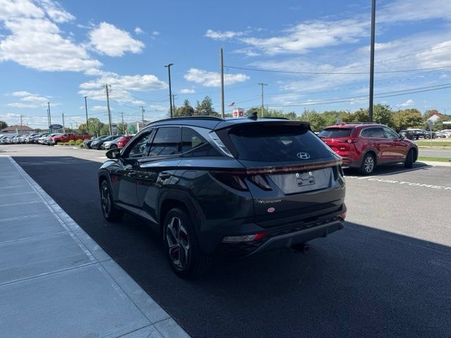 Used 2024 Hyundai Tucson Limited AWD/4WD image 5