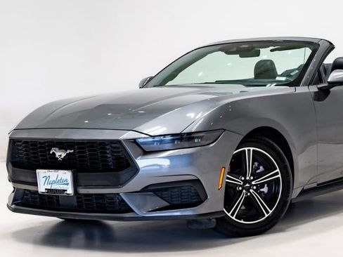 Used 2025 Ford Mustang Premium RWD image 3