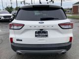 Used 2022 Ford Escape SE w/ Convenience Package image 6