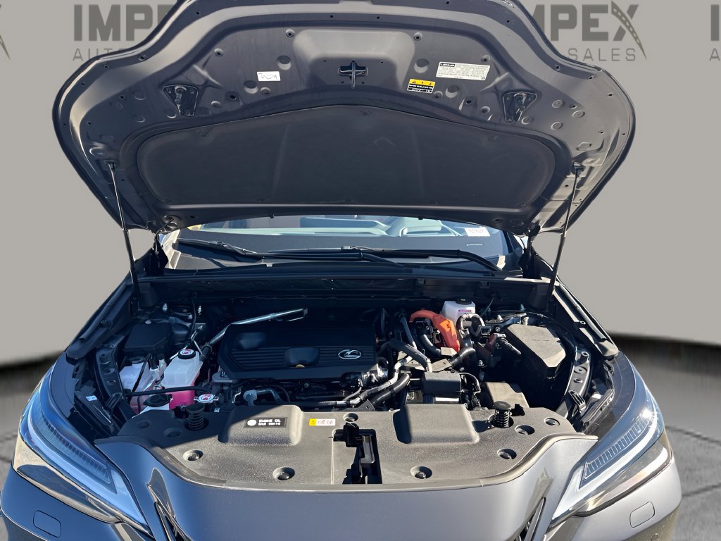 Used 2025 Lexus NX 350h AWD w/ Cold Area Package image 31