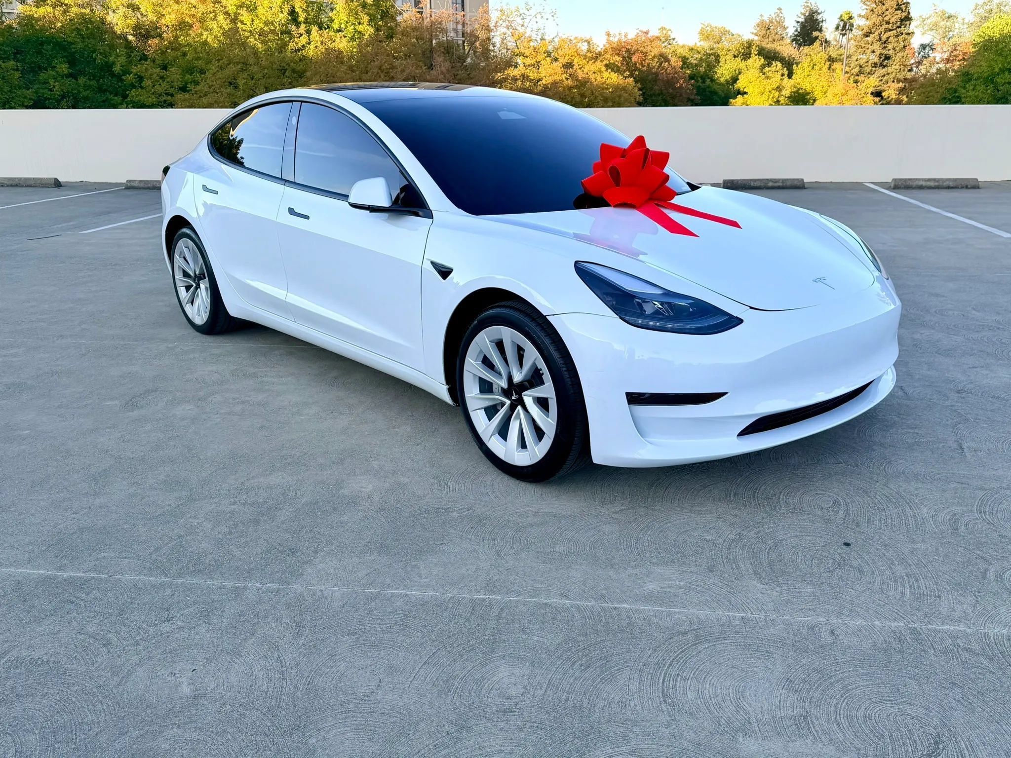 Used 2023 Tesla Model 3 Standard Range RWD image 2