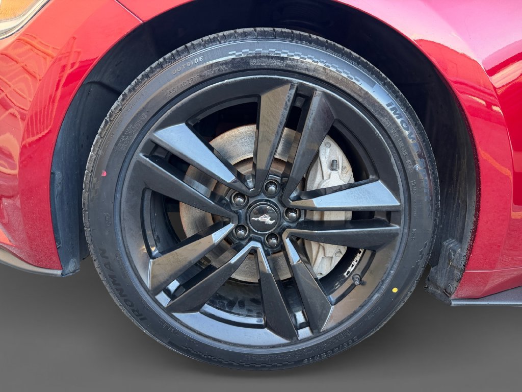Used 2017 Ford Mustang Coupe w/ Ecoboost Performance Package RWD image 11