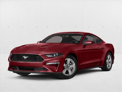 Used 2019 Ford Mustang GT Premium RWD image 1