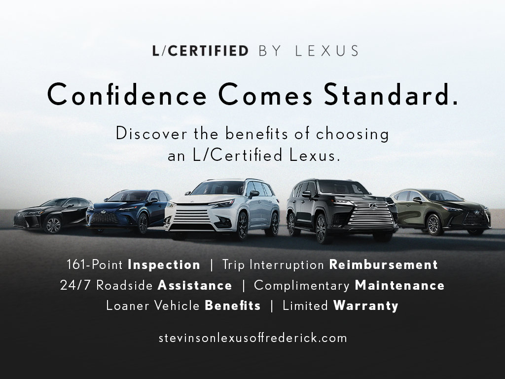 Used 2024 Lexus NX 250 AWD w/ Cold Area Package image 2
