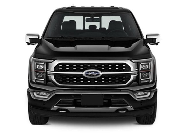 Used 2023 Ford F150 XLT w/ Equipment Group 302A High AWD/4WD image 5