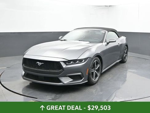 Used 2024 Ford Mustang Premium image 5