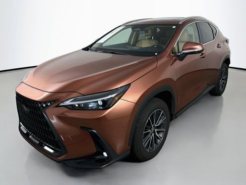 Certified 2025 Lexus NX 350 AWD w/ Cold Area Package image 4