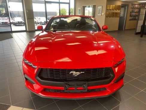Used 2025 Ford Mustang Premium RWD image 3