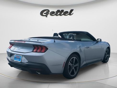Used 2024 Ford Mustang Premium RWD image 5